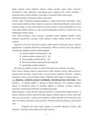 Mokinių, turinčių specialiųjų ugdymosi poreikių, psichologiniai ypatumai 6 puslapis