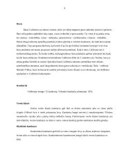 Viešbučio ,,Ramada Vilnius'' rinkodaros planas ir jo gerinimo būdai 9 puslapis