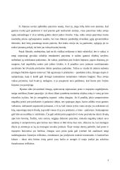 Proto ir patyrimo santykis pažinime 3 puslapis