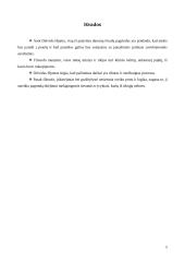 Proto ir patyrimo santykis pažinime 5 puslapis