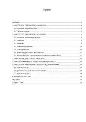 Mokestinio patikrinimo teisinis reguliavimas referatas 2 puslapis