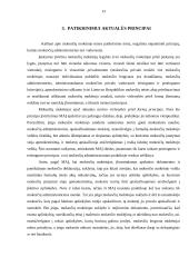 Mokestinio patikrinimo teisinis reguliavimas referatas 13 puslapis