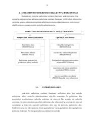 Mokestinio patikrinimo teisinis reguliavimas referatas 16 puslapis