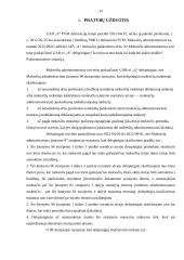 Mokestinio patikrinimo teisinis reguliavimas referatas 19 puslapis