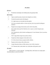 Britų kalbininkas Deividas Kristalas (David Crystal) telefono žinučių rašymo žargonizuotu stiliumi nevadina katastrofa, nes taip vaikai įgunda ieškoti savo mintims užrašyti kuo tinkamesnės formos, tad tai prisideda prie 4 puslapis