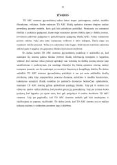 Laiko valdymu pagrįstos (TD ABC) išlaidų apskaitos sistemos praktinis taikymas L įmonėje 15 puslapis