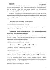 Fondų apskaita 13 puslapis