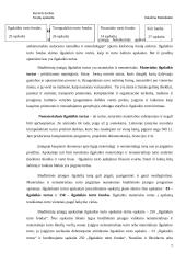 Fondų apskaita 7 puslapis