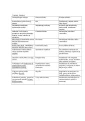 Lietuvių kalbos namu darbai 2 puslapis