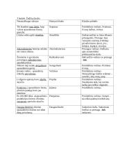 Lietuvių kalbos namu darbai 3 puslapis