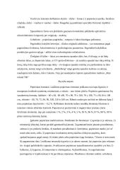 Lietuvių kalbos namu darbai 6 puslapis