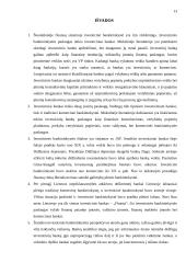 Investicinė bankininkystė 13 puslapis