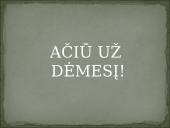 Šokio menas Renesanso epochoje 16 puslapis