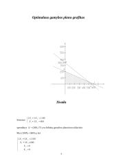 Optimalaus gamybos plano sudarymas ir jo analizė matematiniais metodais UAB "Audima" 6 puslapis