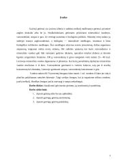 Gaivieji gėrimai, jų asortimentas ir patiekimas 3 puslapis