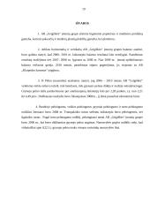 Finansinė analizė AB Grigiškės 17 puslapis