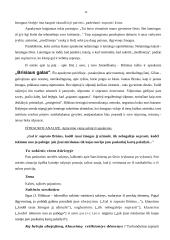 Lietuvių moderniosios prozos pradžia 14 puslapis