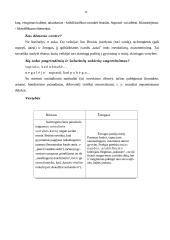 Lietuvių moderniosios prozos pradžia 15 puslapis