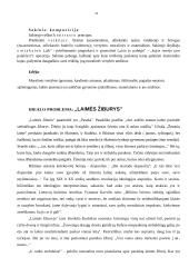 Lietuvių moderniosios prozos pradžia 16 puslapis