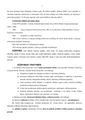 Lietuvių moderniosios prozos pradžia 3 puslapis