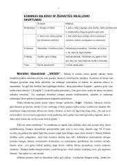 Lietuvių moderniosios prozos pradžia 5 puslapis