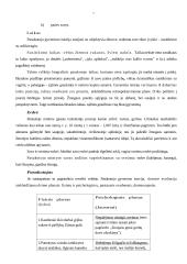 Lietuvių moderniosios prozos pradžia 7 puslapis