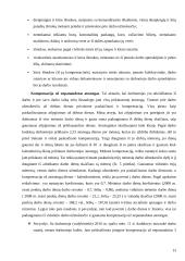 Darbo užmokesčio sąnaudų apskaita 13 puslapis