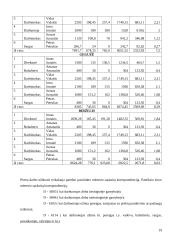 Darbo užmokesčio sąnaudų apskaita 19 puslapis