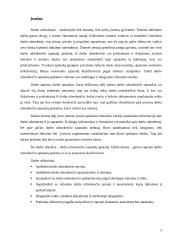 Darbo užmokesčio sąnaudų apskaita 3 puslapis