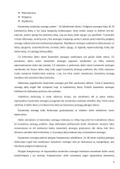 Darbo užmokesčio sąnaudų apskaita 9 puslapis