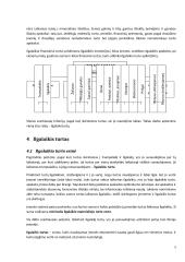 Ilgalaikio materialaus turto apskaita kursinis darbas 5 puslapis