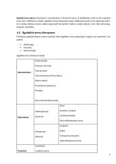 Ilgalaikio materialaus turto apskaita kursinis darbas 6 puslapis