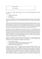 Ilgalaikio materialaus turto apskaita kursinis darbas 7 puslapis