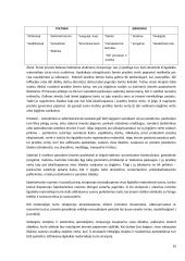 Ilgalaikio materialaus turto apskaita kursinis darbas 10 puslapis