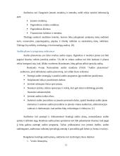 Audito procedūrų planavimas ir jo reikšmė UAB „Salovė“ įmonėje  11 puslapis