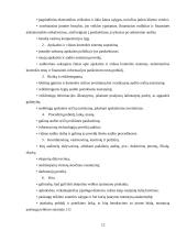 Audito procedūrų planavimas ir jo reikšmė UAB „Salovė“ įmonėje  12 puslapis