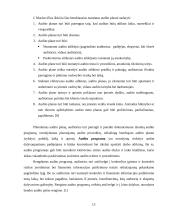 Audito procedūrų planavimas ir jo reikšmė UAB „Salovė“ įmonėje  13 puslapis