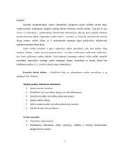 Audito procedūrų planavimas ir jo reikšmė UAB „Salovė“ įmonėje  3 puslapis