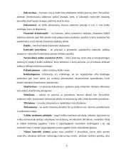 Audito procedūrų planavimas ir jo reikšmė UAB „Salovė“ įmonėje  6 puslapis