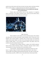 Dirbtinis intelektas referatas 11 puslapis