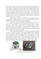 Dirbtinis intelektas referatas 6 puslapis