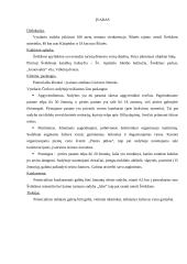 Vyndario Česlovo kaimo turizmo sodybos programa  3 puslapis