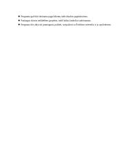 Vyndario Česlovo kaimo turizmo sodybos programa  7 puslapis