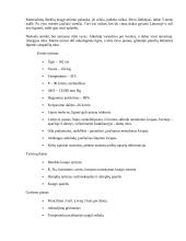 Slaugos procesas - plaučių pneumonija 3 puslapis