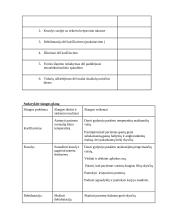 Slaugos procesas - plaučių pneumonija 6 puslapis