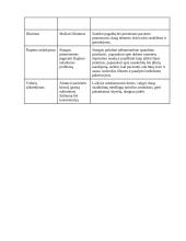 Slaugos procesas - plaučių pneumonija 7 puslapis