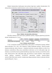Statistikos ataskaita - STATISTICA programa 16 puslapis