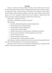 Statistikos ataskaita - STATISTICA programa 7 puslapis