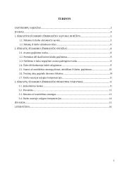 Išskaitymai iš darbo užmokesčio 2 puslapis