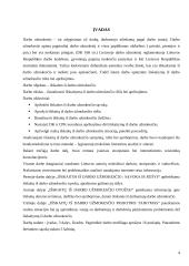 Išskaitymai iš darbo užmokesčio 4 puslapis